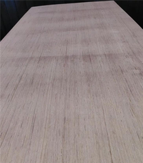 Plywood fonosana 12mm